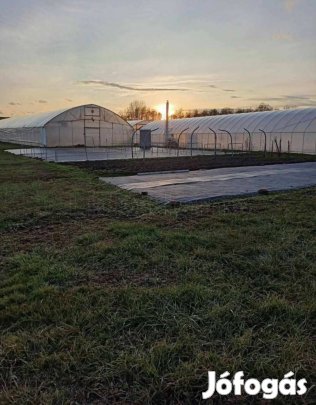 Kiváló adottságú beépíthető belterület - kertészettel