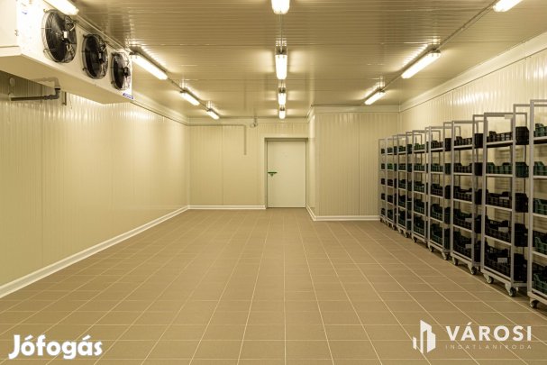 Kiváló befektetési lehetőség Körösújfaluban.