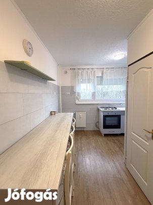 Kiváló lokációval, felújított, panelprogramos lakás 