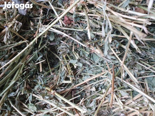 Kiváló minőségű lucerna széna eladó fedél alatt