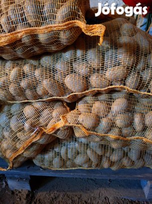Kiváló minőségű sárga vetőburgonya eladó!