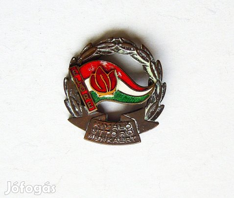 Kiváló úttörő munkáért jelvény