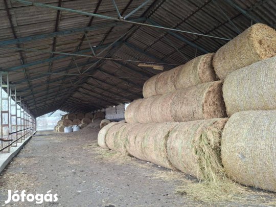 Kivételes adottságú, 7.5 hektáros mezőgazdasági birtok