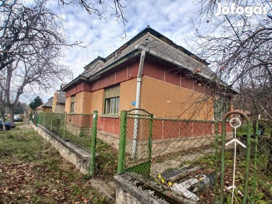 Kivételes dupla lehetőség rédén!