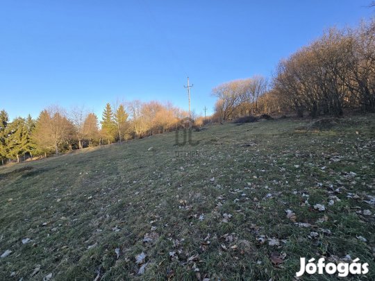 Kivételes fejlesztési telek a sípálya közelében  akár 10 lakóegység i