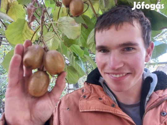 Kivi, pekándió, datolyaszilva, gránátalma, babérmeggy, leylandi növény