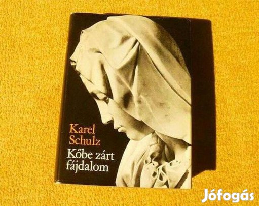 Kőbe zárt fájdalom, Michelangelo élete - Karel Schulz