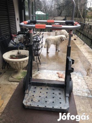 Kocsi 2 kereko kerti 