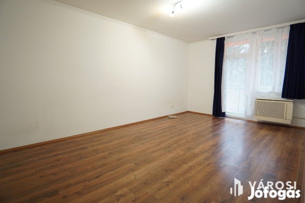 Kodály utcában első emeleti, erkélyes lakás