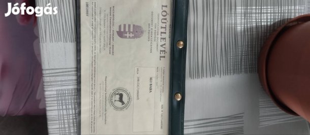 Költözne a képen látható csacsi 