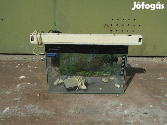 Komplett Akvárium Eladó ! (30 L -es)