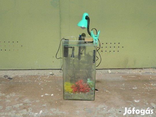 Komplett Akvárium Eladó ! (40 L -es)