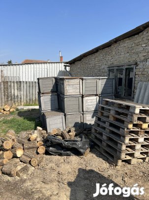 Komplett NB méhfelszerelés