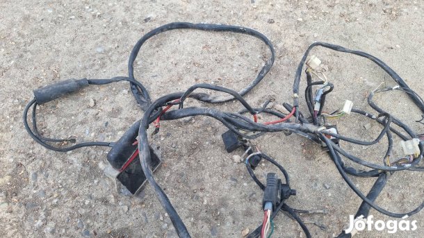 Komplett Piaggio quartz 50 kábelköteg.