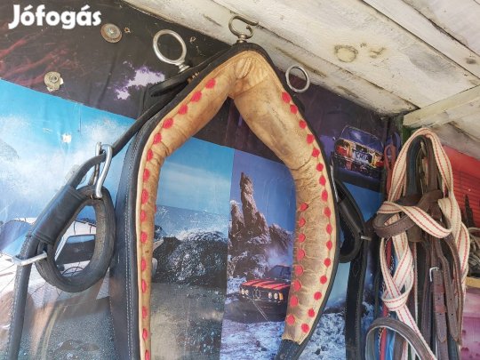 Komplett holland egyes,szep allapotu,bőr lószerszam 