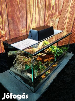 Komplett terrárium szett eladó - akár lakóval együtt - új -