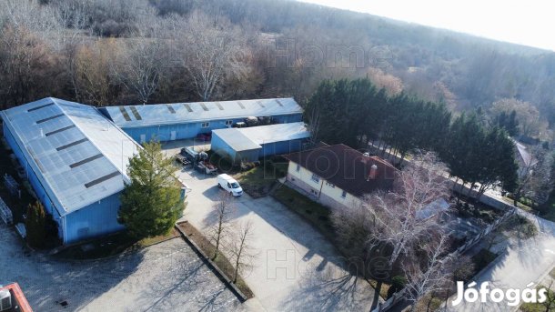 Komplex ipari telephely eladó Székesfehérváron céggel, műhelyekkel,
