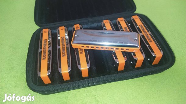 Kongsheng Benders Harp Richter szájharmonika készlet
