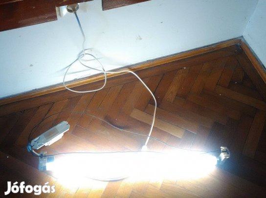 Konnektorba dugható neonlámpa kompletten növényekhez termesztőlámpa