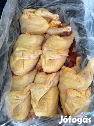 Konyhakész egész csirke ingyen kiszállítással!