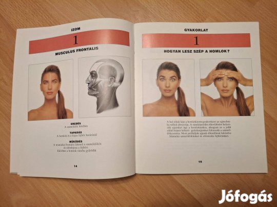 Könyv Arcszépítés
