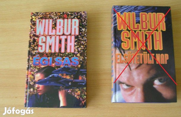 Könyv: Wilbur Smith: Égi sas