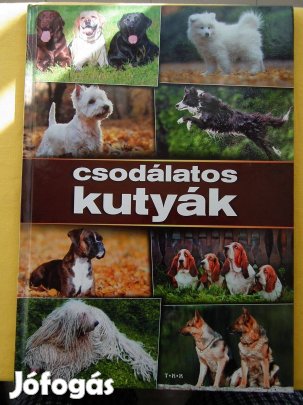 Könyv - Csodálatos kutyák - ismeretterjesztő