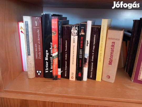 Könyvcsomag, regények, szótárak