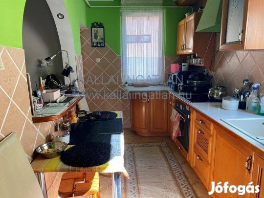 Korányi-kertvárosban szintes családi ház eladó!