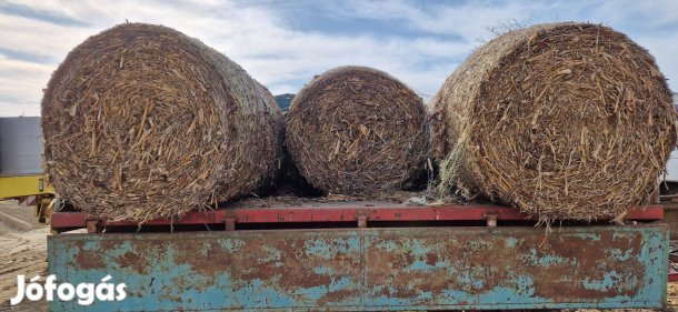 Körbálás csutka, széna