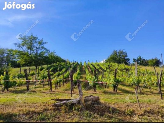 Kőröshegyi eladó 3551 nm-es telek