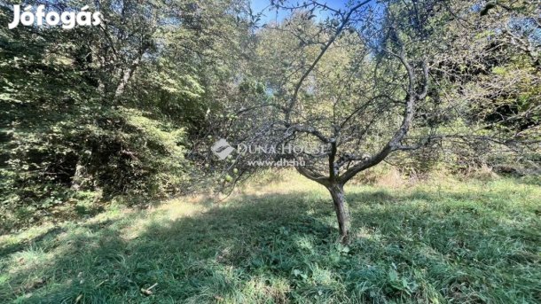 Kőszegi eladó 1247 nm-es telek
