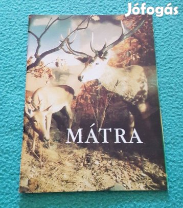 Kovácsné Földessy Mariann: Mátra könyv