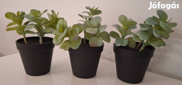 Közepes méretű, élethű cserepes műnövények, 3 darabos csomag