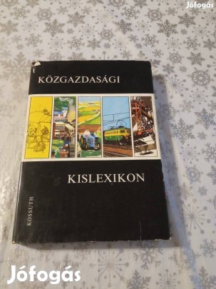 Közgazdasági kislexikon c. könyv
