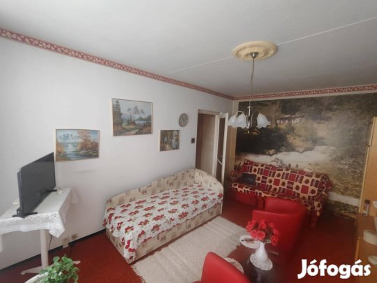 Központi Helyen, Jól Elrendezésű Panel Lakás Fiatalok Részére!