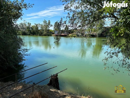 Közvetlen tóparti telek nyugalomra vágyóknak! 939