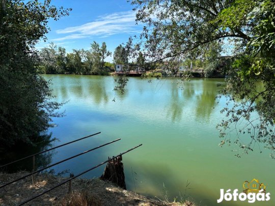 Közvetlen tóparti telek nyugalomra vágyóknak! 939