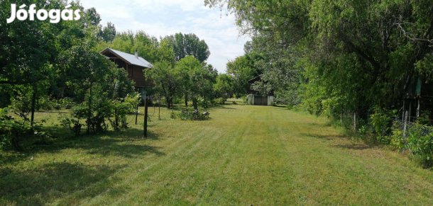 Közvetlen vízparti (élő Tisza) nyaraló eladó