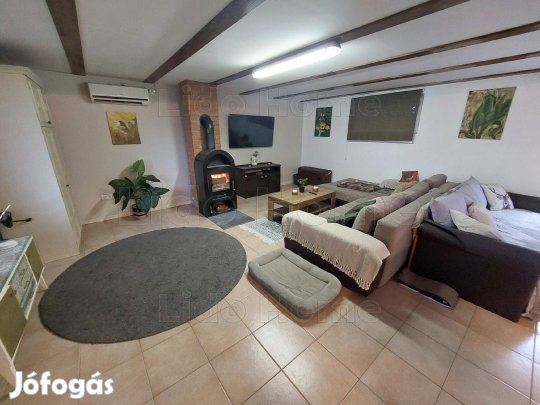 Közvetlen vízparti nyaraló Kaposújlakon  5 méterre a tótól