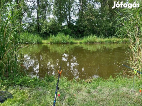 Közvetlen vízparti nyaraló eladó Dömsödön!
