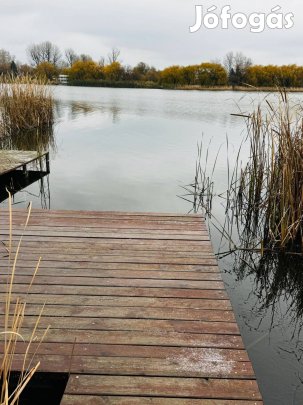 Közvetlen vízparti stéges nyaraló Szigetszentmártonban