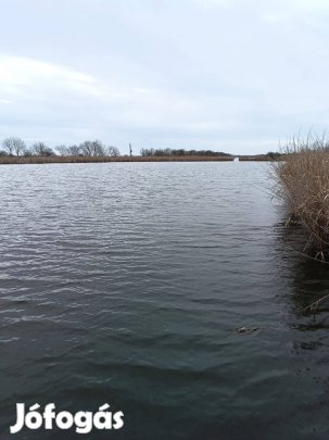 Közvetlen vízparti telek eladó!
