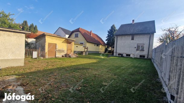 Kreatív új tulajdonosát keresi......