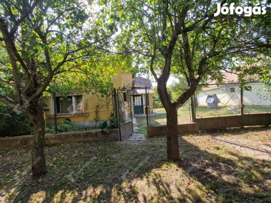 Kreatív új tulajdonosát keresi......