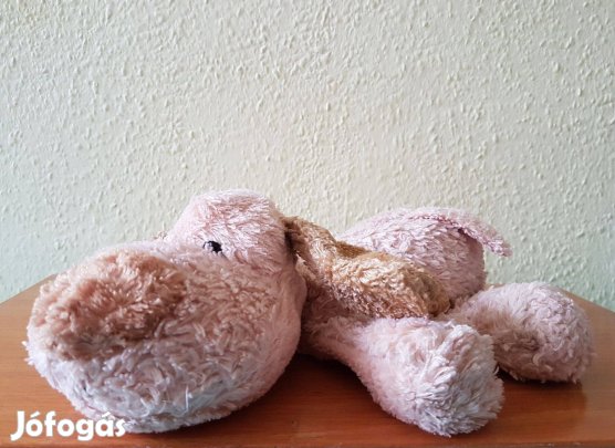 Krémszínű plüss kutya