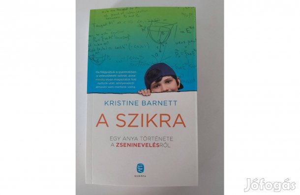 Kristine Barnett: A szikra