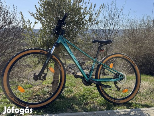 Ktm mountain bike