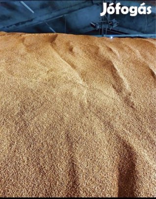 Kukorica, takarmány kukorica