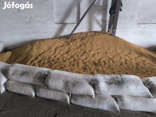 Kukorica eladó Bakonszegen!